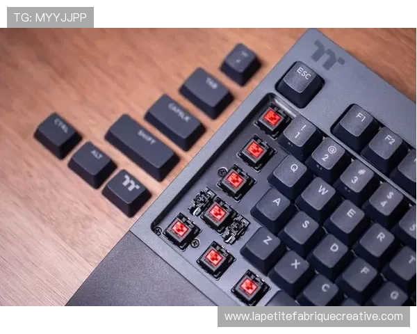 k8官网体育app多平台兼容使用指南,支持多设备无缝切换体验 k8官网体育app多平台兼容使用指南,支持多设备无缝切换体验