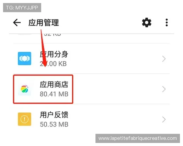 凯发体育手机版下载安装失败的原因分析及快速解决方案推荐